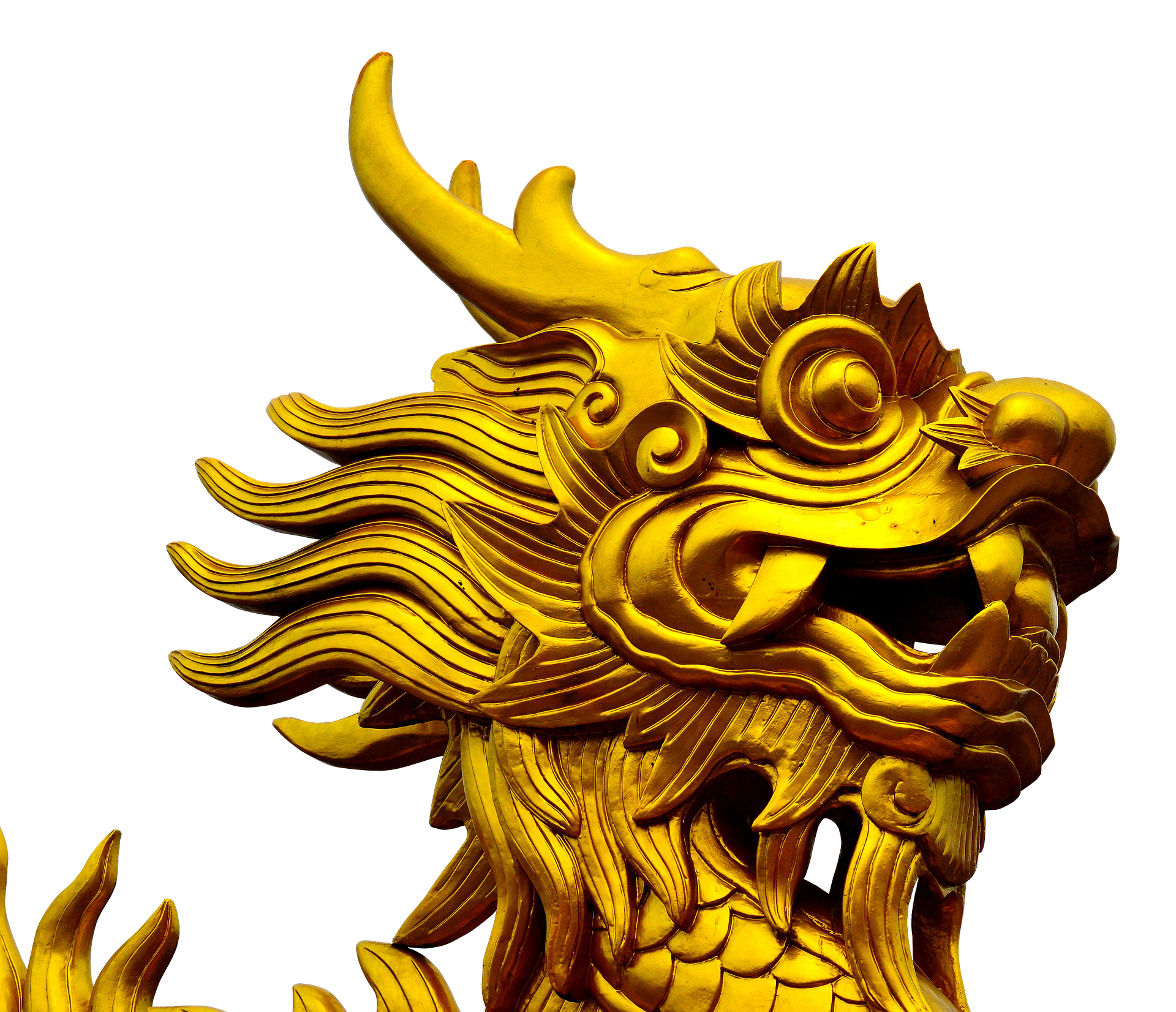 Golden dragon